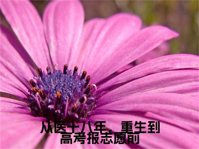 从医十八年，重生到高考报志愿前（乔茵）最新免费阅读-从医十八年，重生到高考报志愿前小说在线阅读（后续+全集）