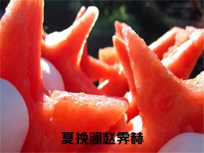 （夏挽澜赵霁赫）是什么小说-夏挽澜赵霁赫（夏挽澜赵霁赫）免费阅读大结局最新章节列表_笔趣阁