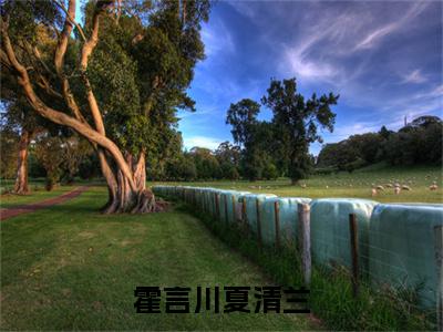 霍言川夏清兰霍言川夏清兰是什么小说-霍言川夏清兰全文免费阅读无弹窗大结局（霍言川夏清兰）最新章节列表在线阅读