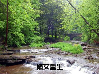 安夏岑鸢小说_小说嫡女重生免费阅读最新章节列表（安夏岑鸢）笔趣阁