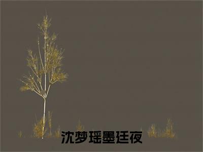 热文墨廷夜沈梦瑶在线免费读-沈梦瑶墨廷夜的小说（墨廷夜沈梦瑶）完整版免费读全文