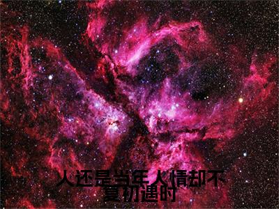 人还是当年人情却不复初遇时卫璟谢知韫正版美文欣赏卫璟谢知韫小说全文完整版免费阅读