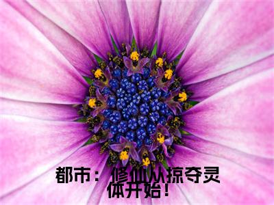 秦锋最新章节（都市：修仙从掠夺灵体开始！小说）全文免费阅读无弹窗大结局_都市：修仙从掠夺灵体开始！小说免费阅读（秦锋）