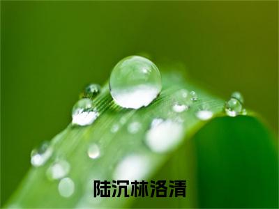 陆沉林洛清（林洛清陆沉）新上热文小说全文免费阅读-小说（林洛清陆沉）完整版阅读