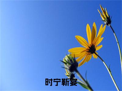 时宁靳宴全文免费阅读无弹窗大结局_（时宁靳宴在线阅读）时宁靳宴最新章节完整版阅读