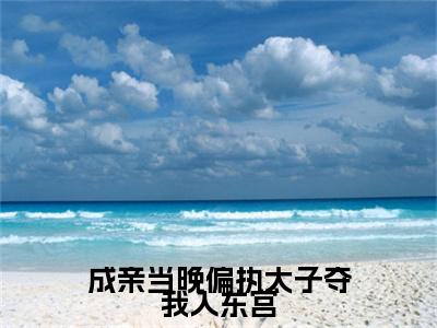 成亲当晚偏执太子夺我入东宫全文（贺玥宁如颂）抖音热推小说全集无删减_贺玥宁如颂免费最新章节列表_笔趣阁