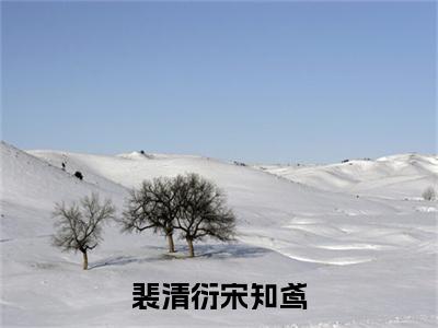 裴清衍宋知鸢宋知鸢裴清衍小说-裴清衍宋知鸢小说全文免费阅读