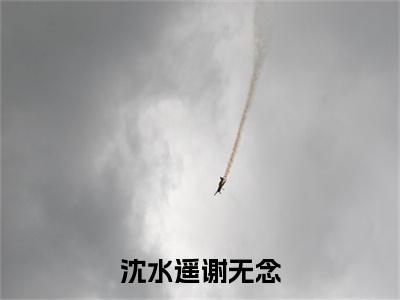 小说沈水遥谢无念全文免费阅读无弹窗大结局_（沈水遥谢无念）全文在线阅读