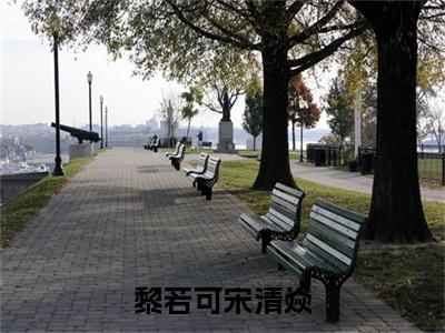 黎若可宋清焱小说大结局精彩推荐，宋清焱黎若可全文完整版在线阅读