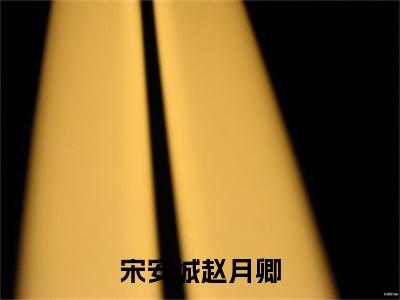 小说宋安城赵月卿全文免费阅读无弹窗大结局_（赵月卿宋安城）全文在线阅读