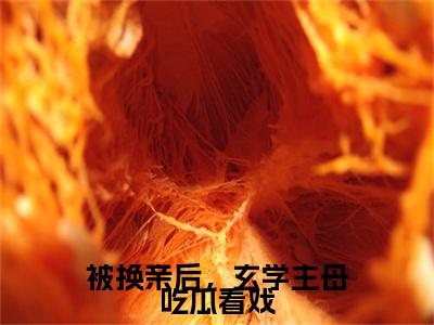 被换亲后，玄学主母吃瓜看戏小说全文免费阅读无弹窗-虞知意全文在线阅读