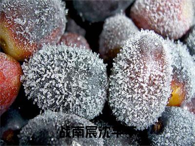 战南宸沈芊芊（沈芊芊战南宸）全文免费完结版阅读_（沈芊芊战南宸）战南宸沈芊芊最新章节列表笔趣阁