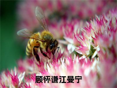 顾怀谦江曼宁（江曼宁顾怀谦）全章节完整版免费小说_顾怀谦江曼宁最新章节在线阅读_笔趣阁