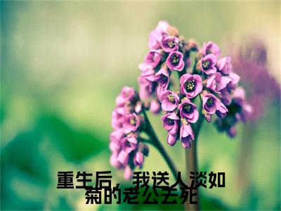 宋轩（重生后，我送人淡如菊的老公去死）全文免费阅读无弹窗大结局_宋轩最新章节列表_笔趣阁（重生后，我送人淡如菊的老公去死）