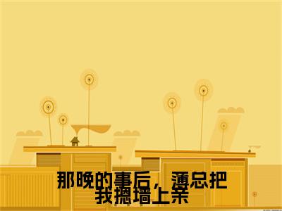 苏星梨薄瑨深：那晚的事后，薄总把我摁墙上亲阅读无弹窗大结局_（苏星梨薄瑨深阅读无弹窗）最新章节列表_笔趣阁（苏星梨薄瑨深）