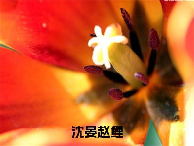 赵鲤沈晏（沈晏赵鲤）小说免费下载全本-赵鲤沈晏（沈晏赵鲤完整版）免费阅读