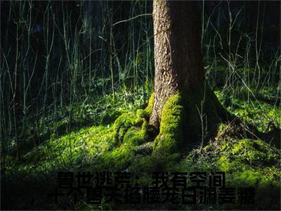 小说兽世逃荒：我有空间，十个兽夫掐腰宠白渊姜糖免费在线阅读-小说主角叫姜糖白渊的小说完整版免费读全文