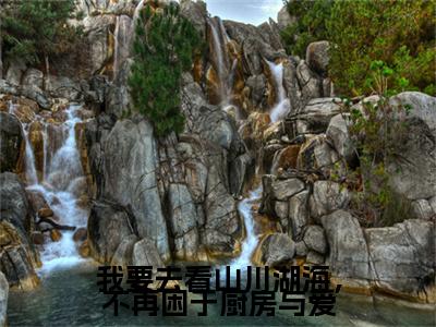 我要去看山川湖海，不再困于厨房与爱（苏南竹厉琛然）全文小说免费阅读_（苏南竹厉琛然）我要去看山川湖海，不再困于厨房与爱最新章节列表