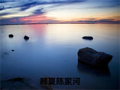 林夏陈家河（林夏陈家河）是什么小说-（林夏陈家河）无弹窗免费阅读大结局最新章节列表_笔趣阁