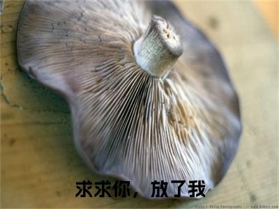 封郁琛唐绯全文免费阅读-全网首发小说求求你，放了我