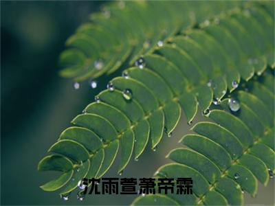 萧帝霖沈雨萱（沈雨萱萧帝霖小说）全文免费阅读无弹窗大结局_沈雨萱萧帝霖小说最新章节列表