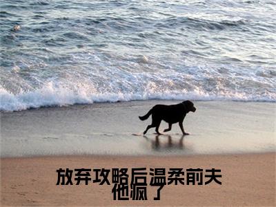 放弃攻略后温柔前夫他疯了全文免费阅读_（黎越延姜心宁免费阅读无弹窗）放弃攻略后温柔前夫他疯了高赞小说阅读