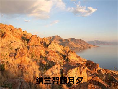 主角叫顾月夕纳兰羿的小说-（纳兰羿顾月夕）顾月夕纳兰羿全文无弹窗完整版阅读