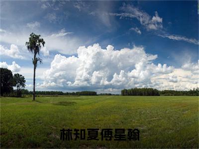 林知夏傅星翰（林知夏傅星翰）全文免费阅读_（林知夏傅星翰）林知夏傅星翰最新章节小说免费阅读_笔趣阁