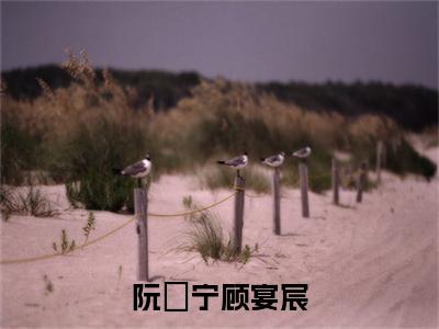 阮玥宁顾宴宸免费阅读（顾宴宸阮玥宁）完整版全文全章节阅读