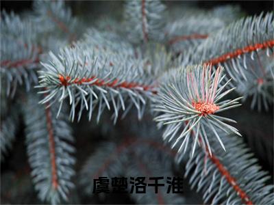 虞楚洛千淮洛千淮虞楚小说-虞楚洛千淮小说全文免费阅读