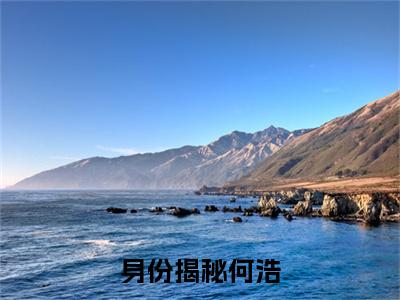 身份揭秘何浩（何浩全章节完整版）免费阅读_（何浩）身份揭秘何浩全文无删减免费阅读