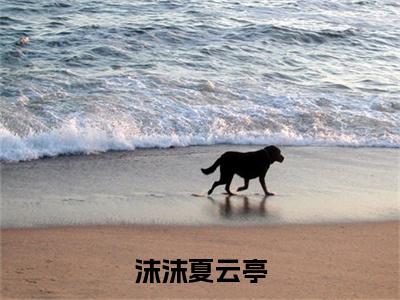 沫沫夏云亭（沫沫夏云亭）全文免费阅读无弹窗大结局_沫沫夏云亭最新章节列表