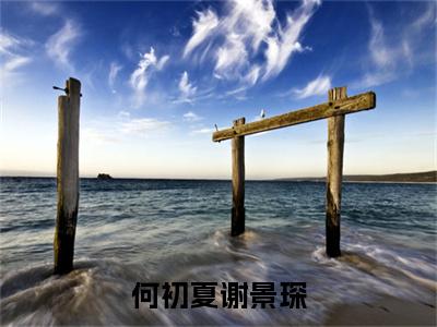 何初夏谢景琛全本资源免费阅读结局无删节主角：何初夏谢景琛小说全文阅读无弹窗