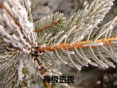 神级透视（王峰）全文免费阅读无弹窗大结局_神级透视最新章节列表-笔趣阁王峰