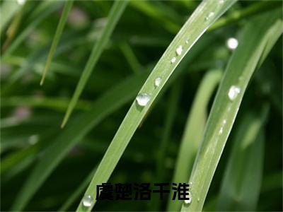 虞楚洛千淮（洛千淮虞楚小说）小说全文免费阅读_洛千淮虞楚小说下载_最新章节列表笔趣阁（虞楚洛千淮）