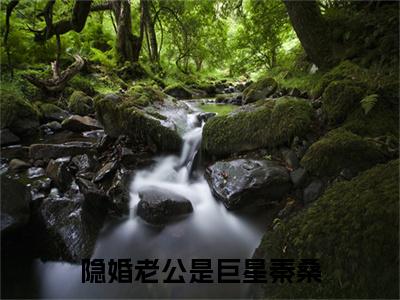 牧墨修秦桑（隐婚老公是巨星秦桑）完整版小说阅读_隐婚老公是巨星秦桑全文免费阅读笔趣阁（牧墨修秦桑）