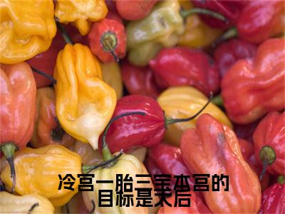 唐菀的小说（冷宫一胎三宝本宫的目标是太后）免费阅读_唐菀小说免费阅读-笔趣阁（冷宫一胎三宝本宫的目标是太后）