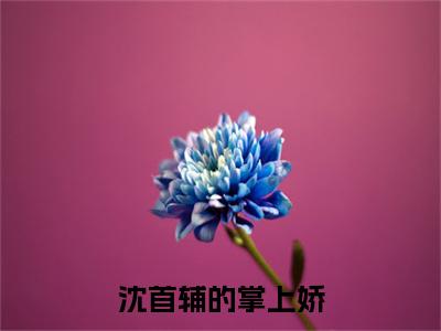 沈首辅的掌上娇全文免费阅读无弹窗大结局_（沈首辅的掌上娇阅读无弹窗）沈延卿江锦璨最新章节列表_笔趣阁（沈延卿江锦璨）