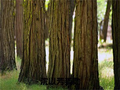 沈以芳姜勋（沈以芳姜勋）独家首发免费小说-（沈以芳姜勋）沈以芳姜勋小说全文在线阅读笔趣阁