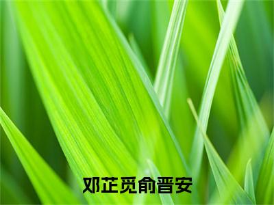 （免费）+（全文）邓芷觅俞晋安（邓芷觅俞晋安）免费阅读最新章节无弹窗邓芷觅俞晋安完整版小说在线阅读