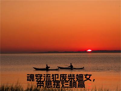 魂穿流犯废柴嫡女，带崽摆烂躺赢（沈菲）全文免费阅读大结局-沈菲最新章节列表免费阅读大结局