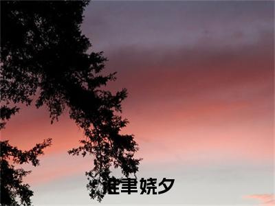 淮聿娆夕淮聿娆夕精彩章节-淮聿娆夕淮聿娆夕完整版阅读