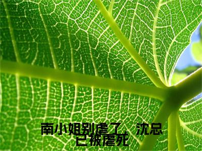 （南小姐别虐了，沈总已被虐死）全文免费阅读无弹窗大结局_（沈希衍南浅）章节列表_笔趣阁