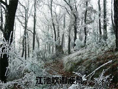 谢淮景江池欢（江池欢谢淮景）独家首发免费小说-（谢淮景江池欢）江池欢谢淮景小说全文在线阅读笔趣阁