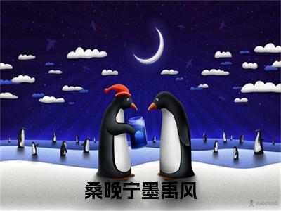 《桑晚宁墨禹风》主角是桑晚宁墨禹风全文免费阅读已完结