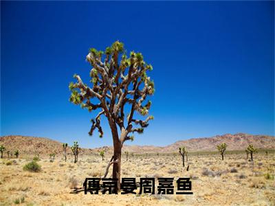 傅京晏周嘉鱼小说（周嘉鱼傅京晏）全文完整版免费阅读-周嘉鱼傅京晏全文完整版免费阅读（周嘉鱼傅京晏）