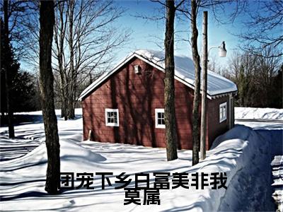 团宠下乡白富美非我莫属（宋婉瑜）全文免费阅读无弹窗大结局_（宋婉瑜阅读无弹窗）团宠下乡白富美非我莫属小说_笔趣阁