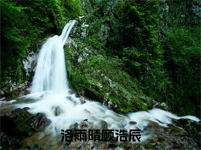 洛雨晴顾浩辰（洛雨晴顾浩辰）全文免费阅读无弹窗大结局_洛雨晴顾浩辰小说全文免费阅读最新章节列表（洛雨晴顾浩辰）