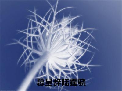 慕星辞陆霆骁全文免费阅读无弹窗-（陆霆骁慕星辞）慕星辞陆霆骁最新章节列表在线阅读