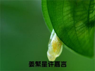 姜繁星许嘉言（姜繁星许嘉言）小说全文免费阅读无弹窗大结局_姜繁星许嘉言全文在线阅读无弹窗